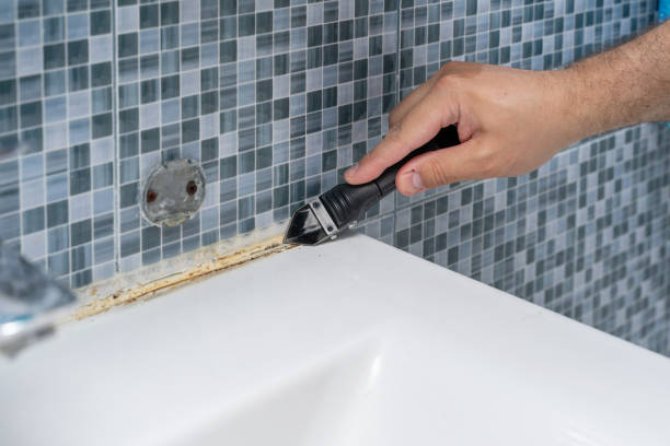 Best Black Mold Removal  in Kentwood, MI