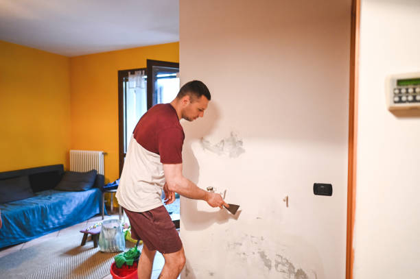 Best Mold Damage Repair  in Kentwood, MI